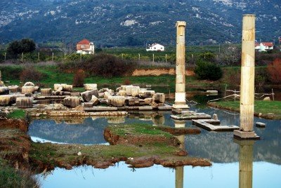 İYON GEZGİNLERİ.4 KOLOPHON; KOLOPHON'UN ATLARI VE KÖPEKLERI